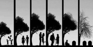 images